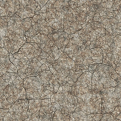 79f804d4280b317d51c3a94e43056362