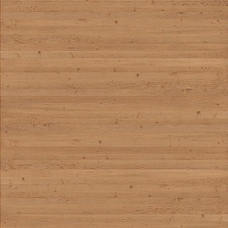 66577444025e2858b7fd3f92452d5456