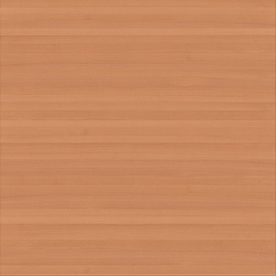 748de5d351c693fef1618c064c304d82